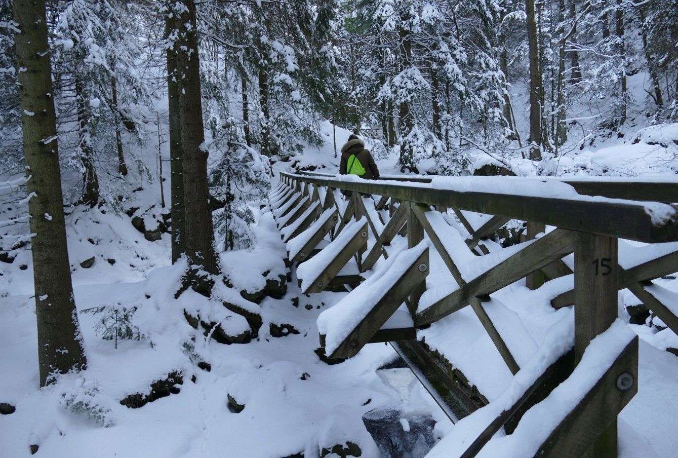 Een persoon in een felgroen vest loopt over een met sneeuw bedekte houten brug in een bos.
