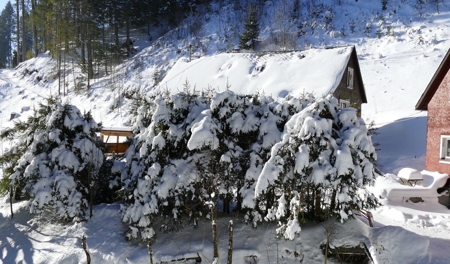 Een met sneeuw bedekte hut en groenblijvende bomen tegen een besneeuwde heuvel op een zonnige dag.