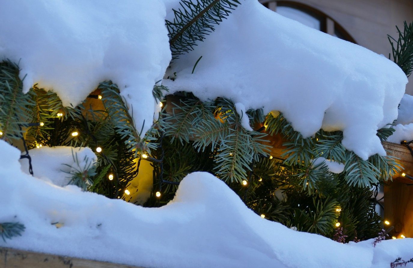 Met sneeuw bedekte groenblijvende takken met fonkelende lichtjes, mogelijk een kerstversiering.
