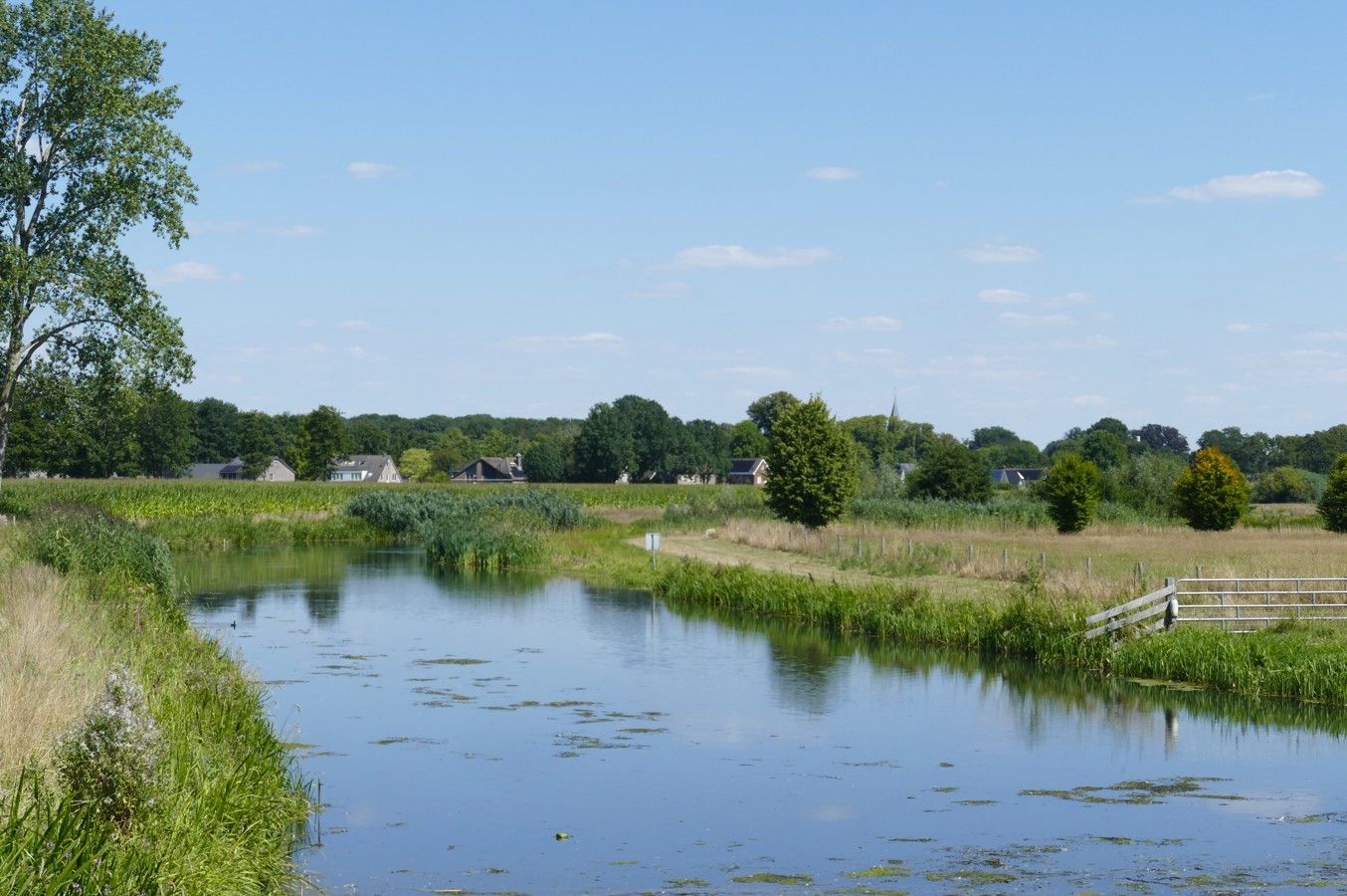 Een rustige rivier kronkelt door een groen, grasrijk landschap onder een helderblauwe hemel.