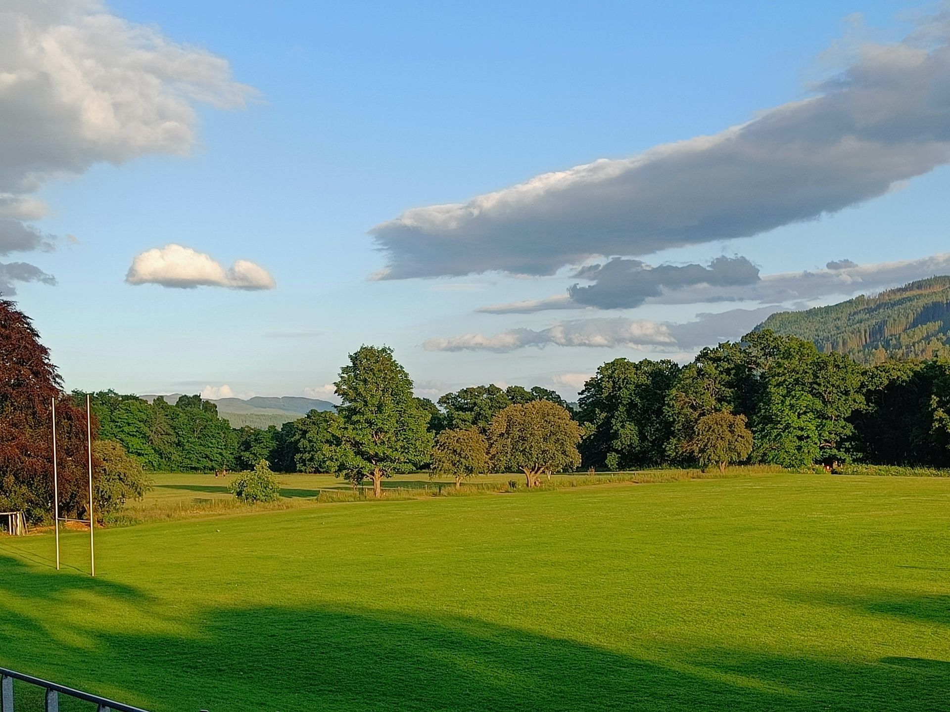 Groen veld met bomen onder een blauwe hemel met wolken.