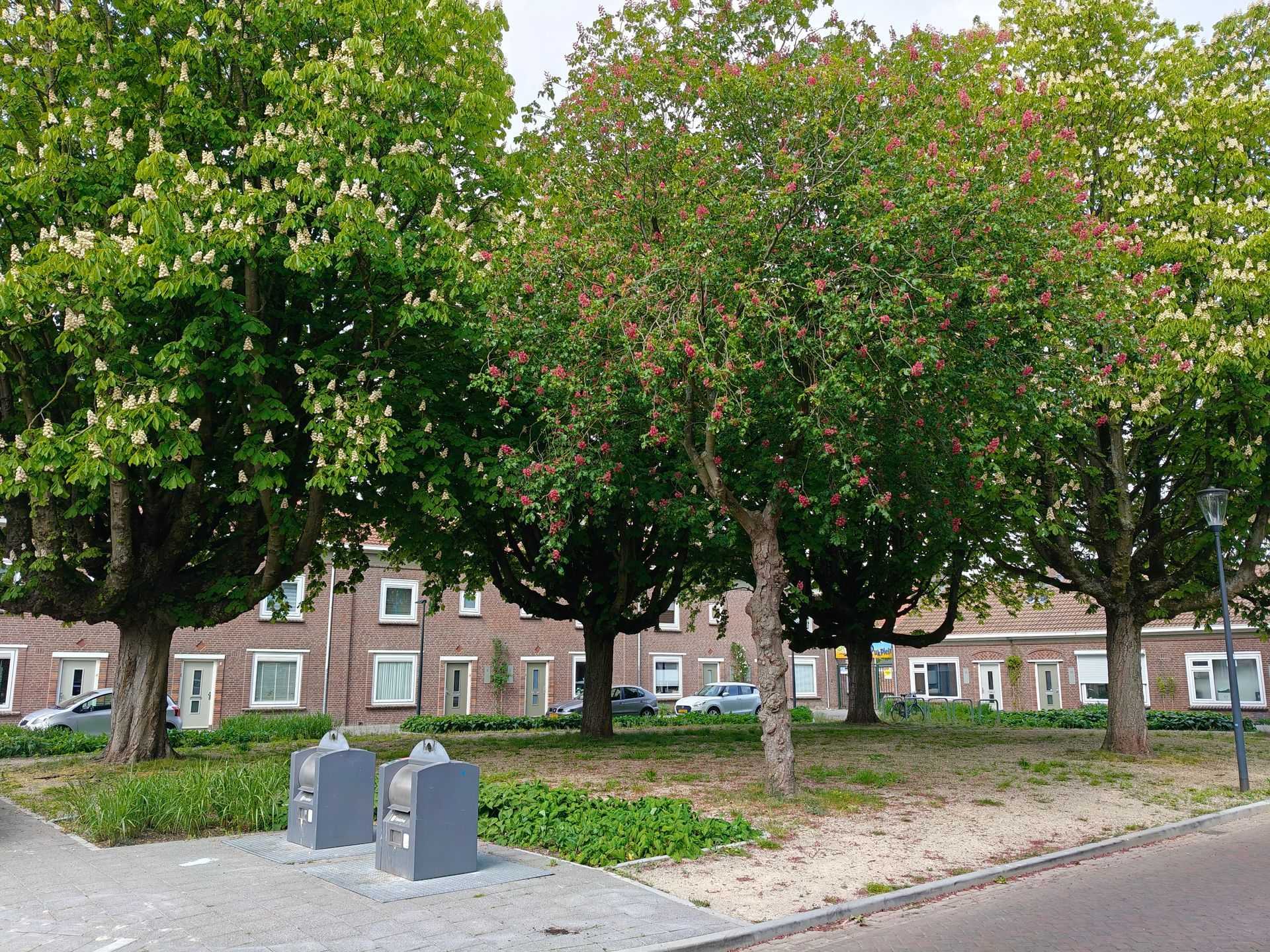 Een met bomen omzoomd stadsplein met bakstenen appartementen, geparkeerde auto's en vuilnisbakken langs een geplaveid pad.