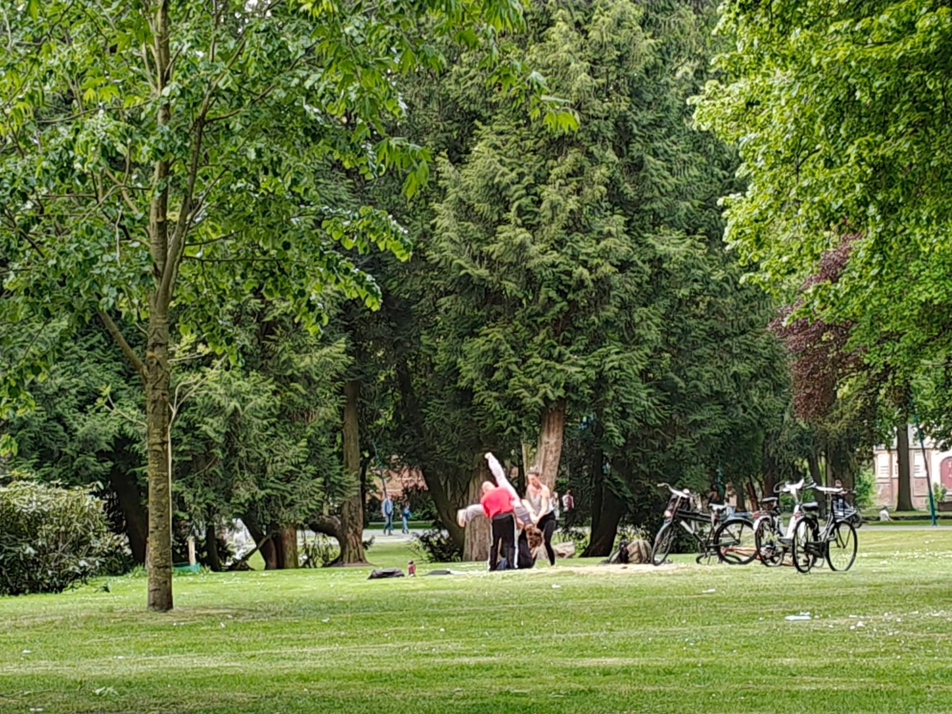 Mensen verzamelen zich in een groen park bij fietsen onder lommerrijke bomen.