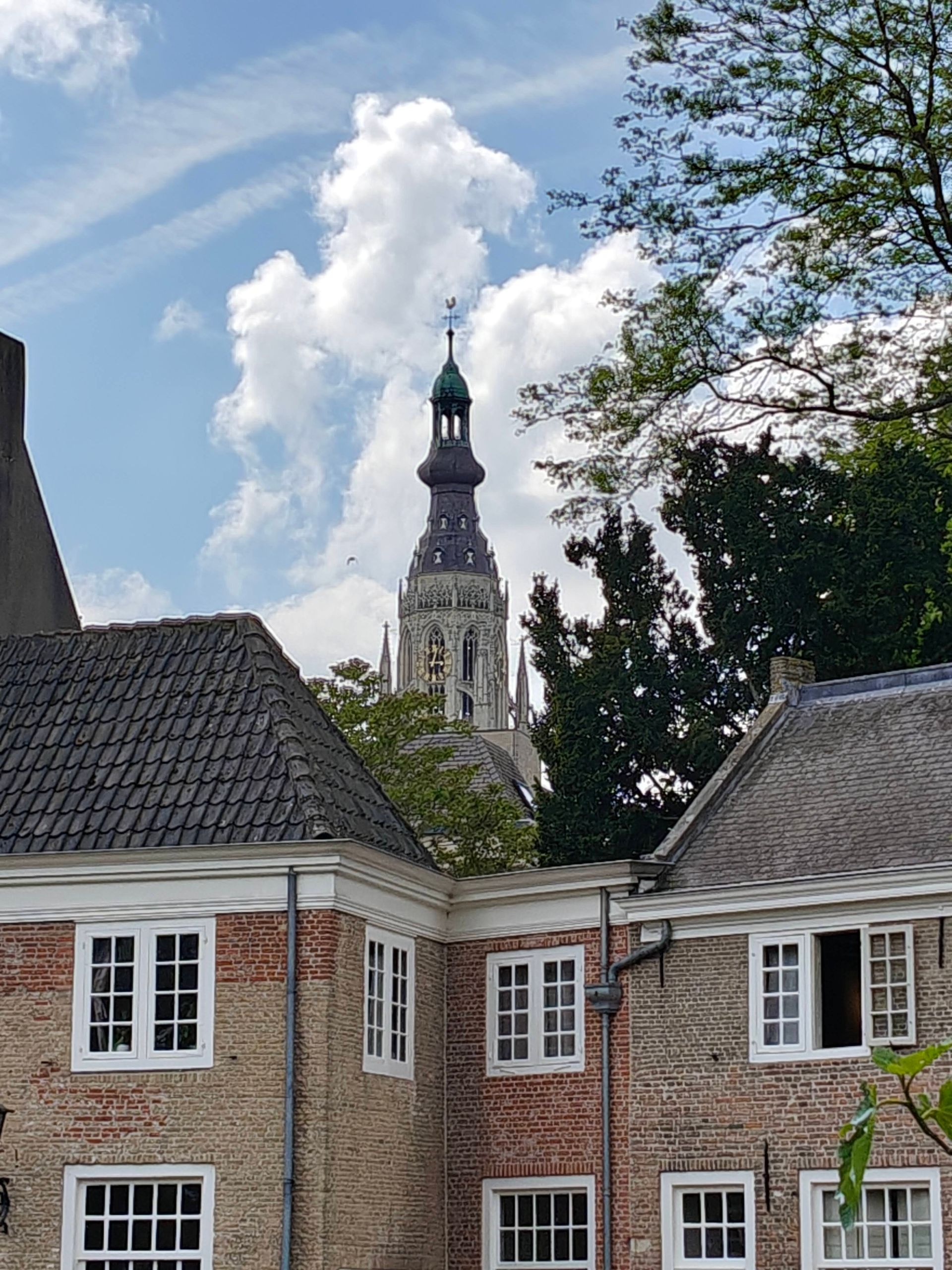 Op de voorgrond staan ​​bakstenen huizen met witte kozijnen; achter de bomen rijst een kerktoren op onder een bewolkte hemel.