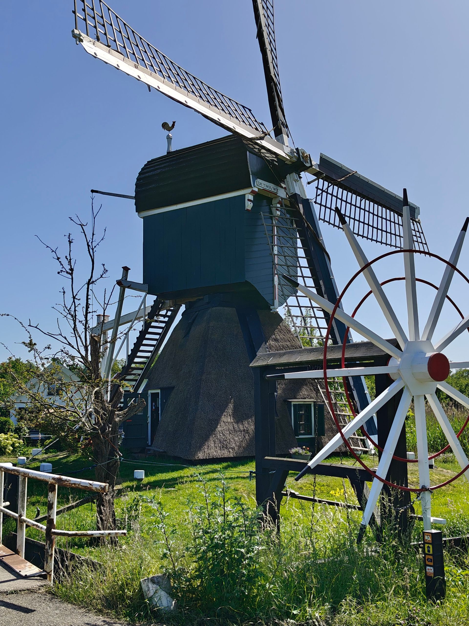 Windmolen met witte wieken in een zonnige tuin naast een blauw gebouw en groen gras.