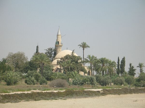 Een kleine witte moskee met een minaret, te midden van palmbomen en groen in een droog, landelijk gebied.