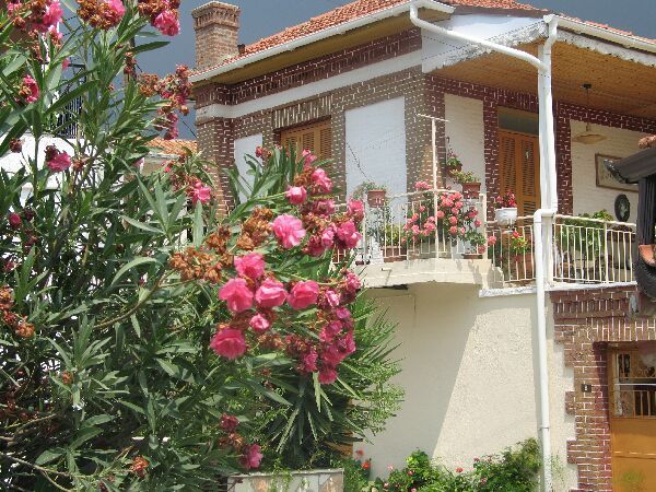 Huis met roze bloemen en een balkon in een zonnige tuin.
