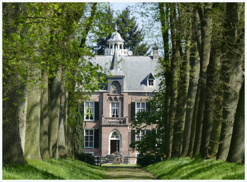 Landhuis omgeven door hoge bomen in een groene, zonnige omgeving.