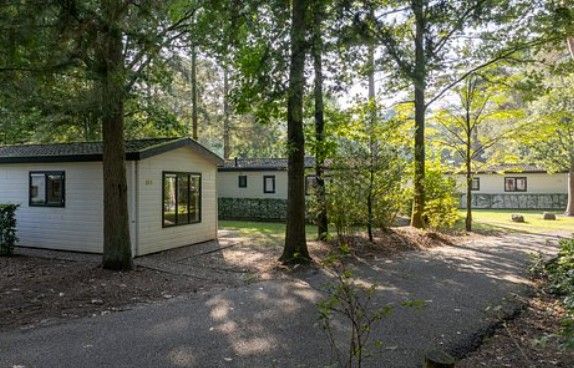 Hutten in een bosrijk gebied met bomen en een verhard pad.