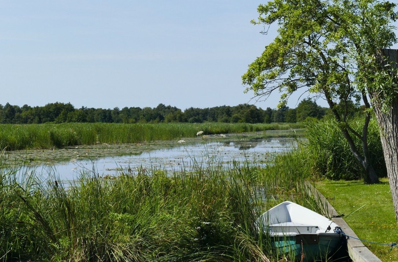 Een kalme waterweg met groene rietstengels en een klein bootje onder een zonnige hemel.