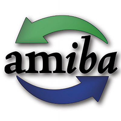 A green and blue arrow with the word amiba on it