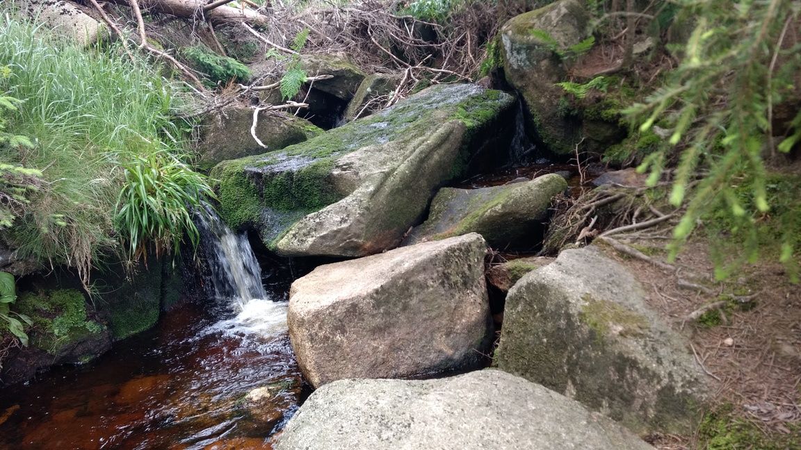 Eckerloch, Harz