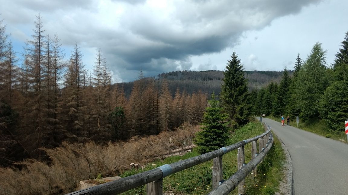 Brockenstraße im Nationalpark Harz von Schierke aus