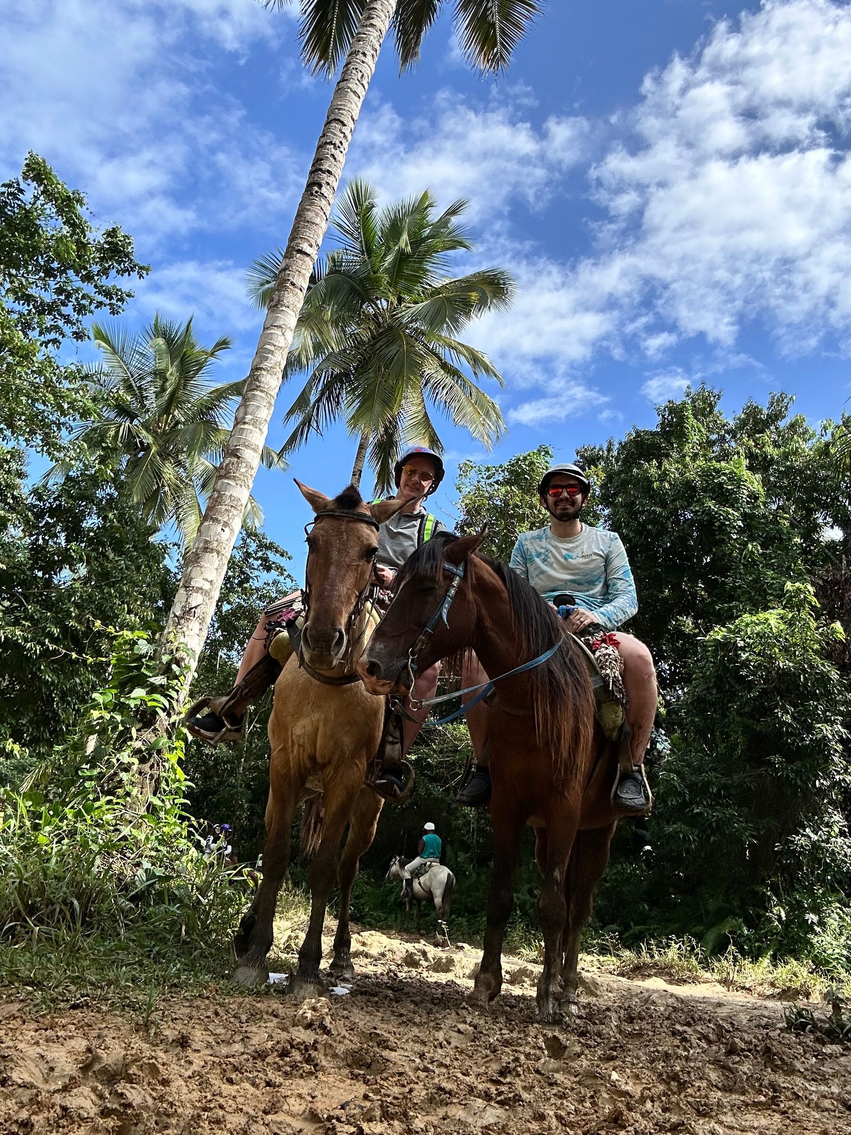 Two people ride horses on a muddy trail beneath a palm tree on a sunny day.