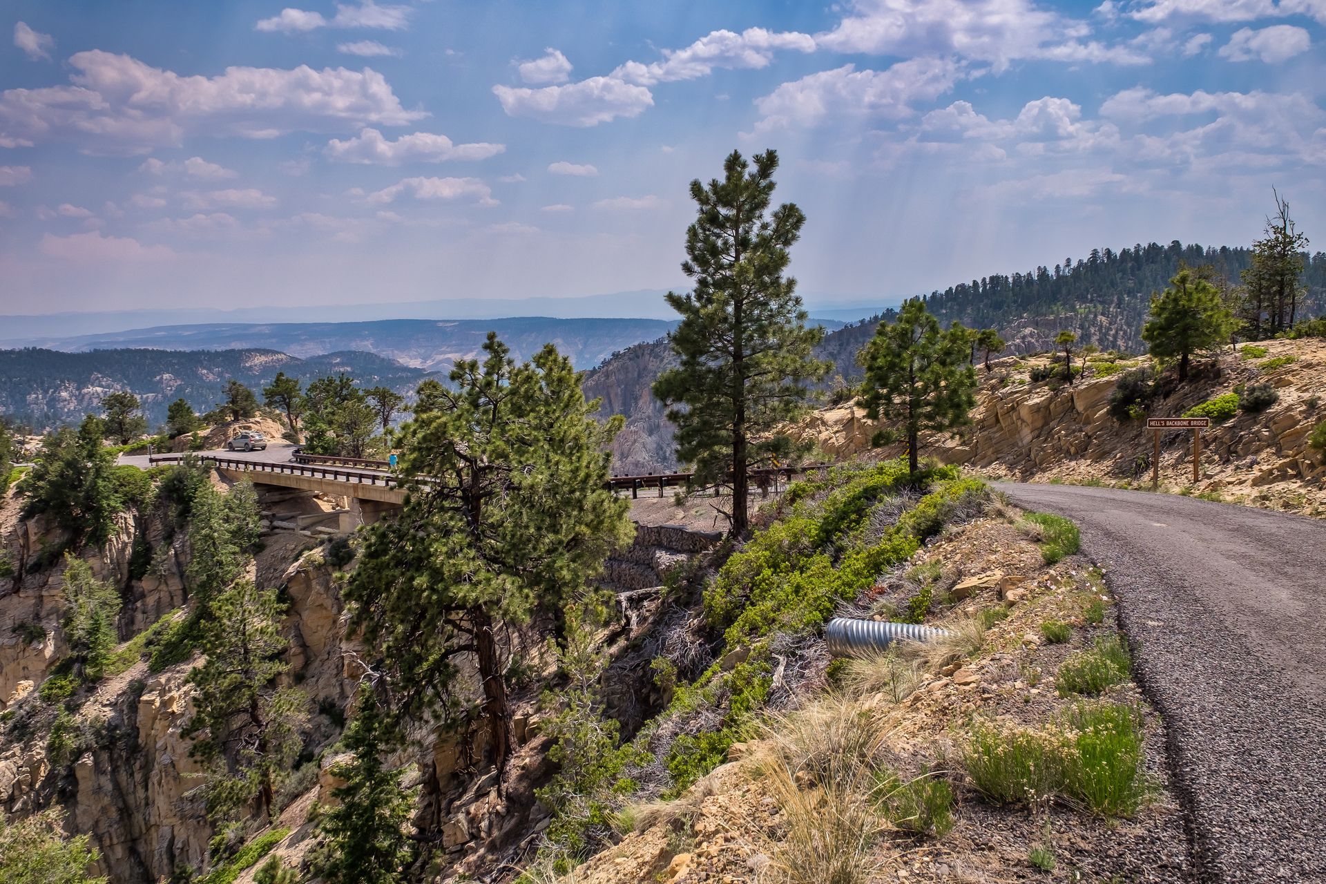 A road going down a cliff with trees on the side of it.
