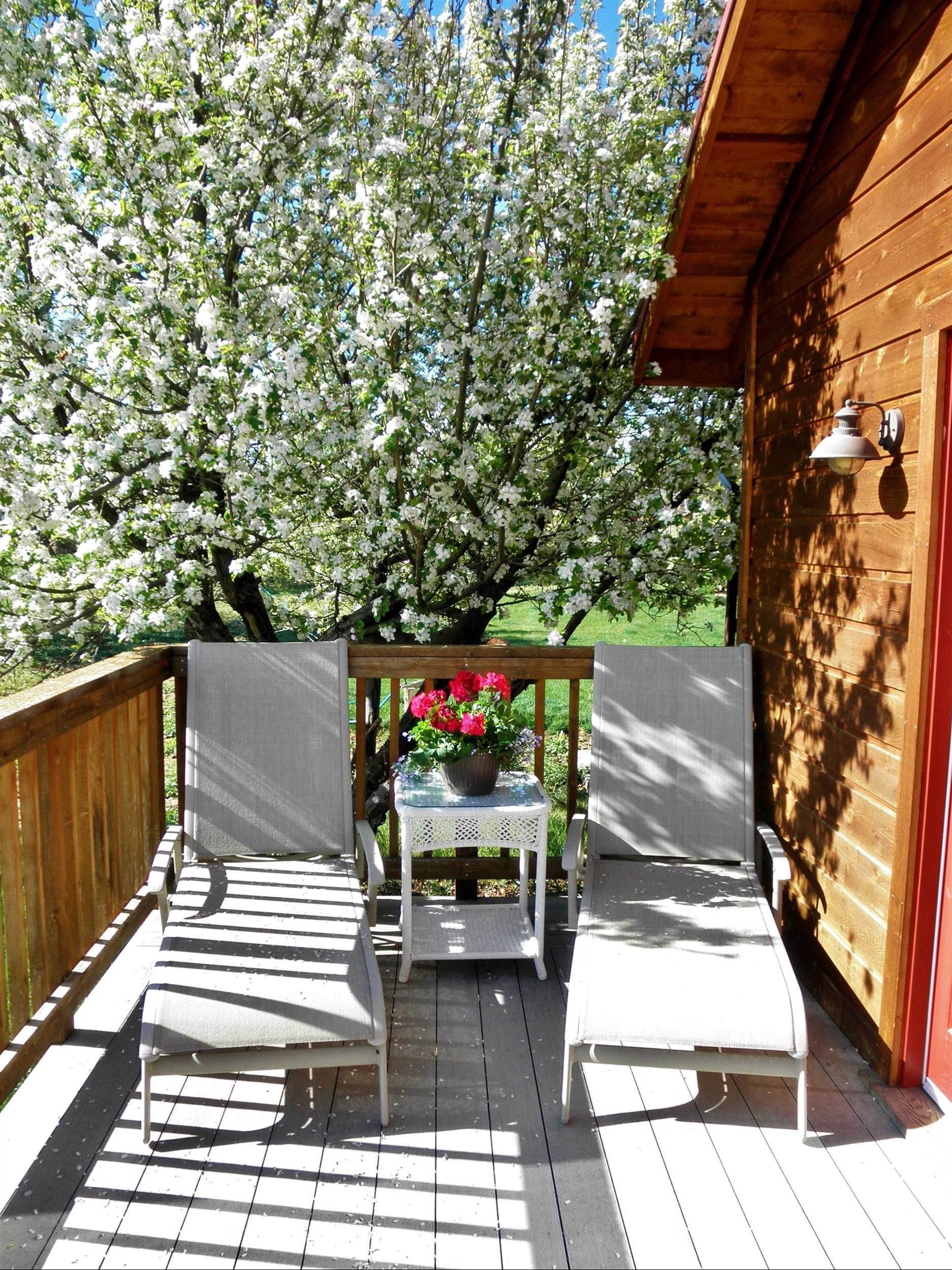 A wooden deck with chairs and a table with flowers on it