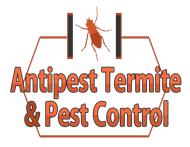 Antipest Termite & Pest Control