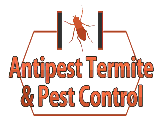Antipest Termite & Pest Control