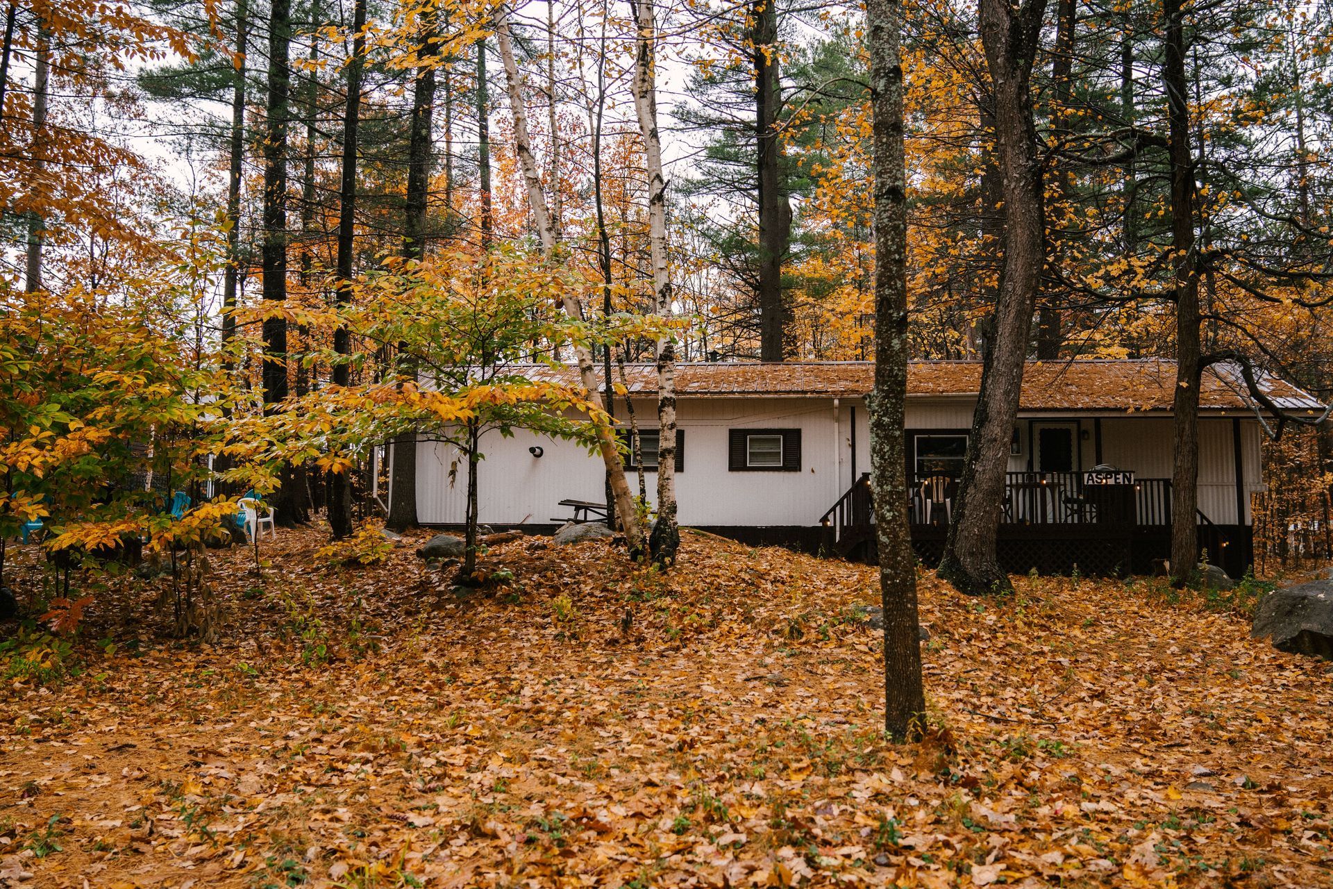 Small white cabin in an autumn forest, surrounded by fallen orange leaves and tall trees.