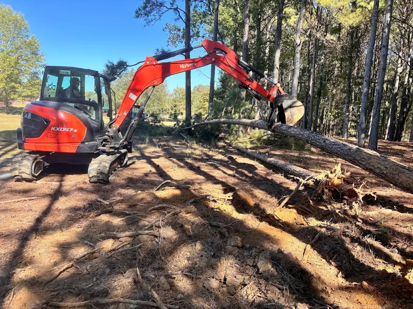 Orange excavator clearing fallen logs in a sunlit forest