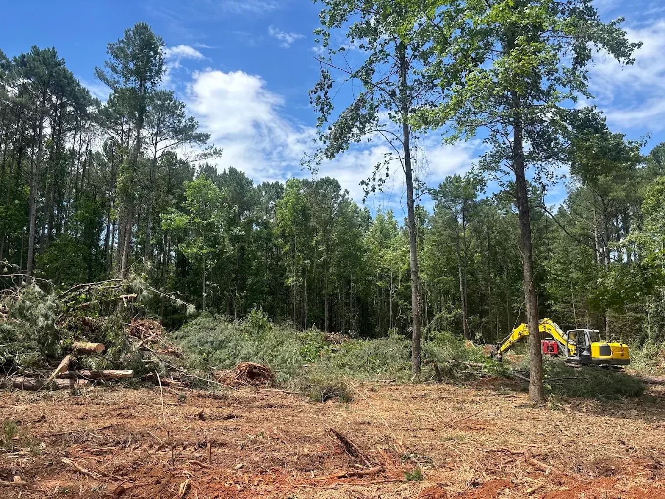 Cleared forest lot with piles of brush, trees, and a yellow excavator under a blue sky
