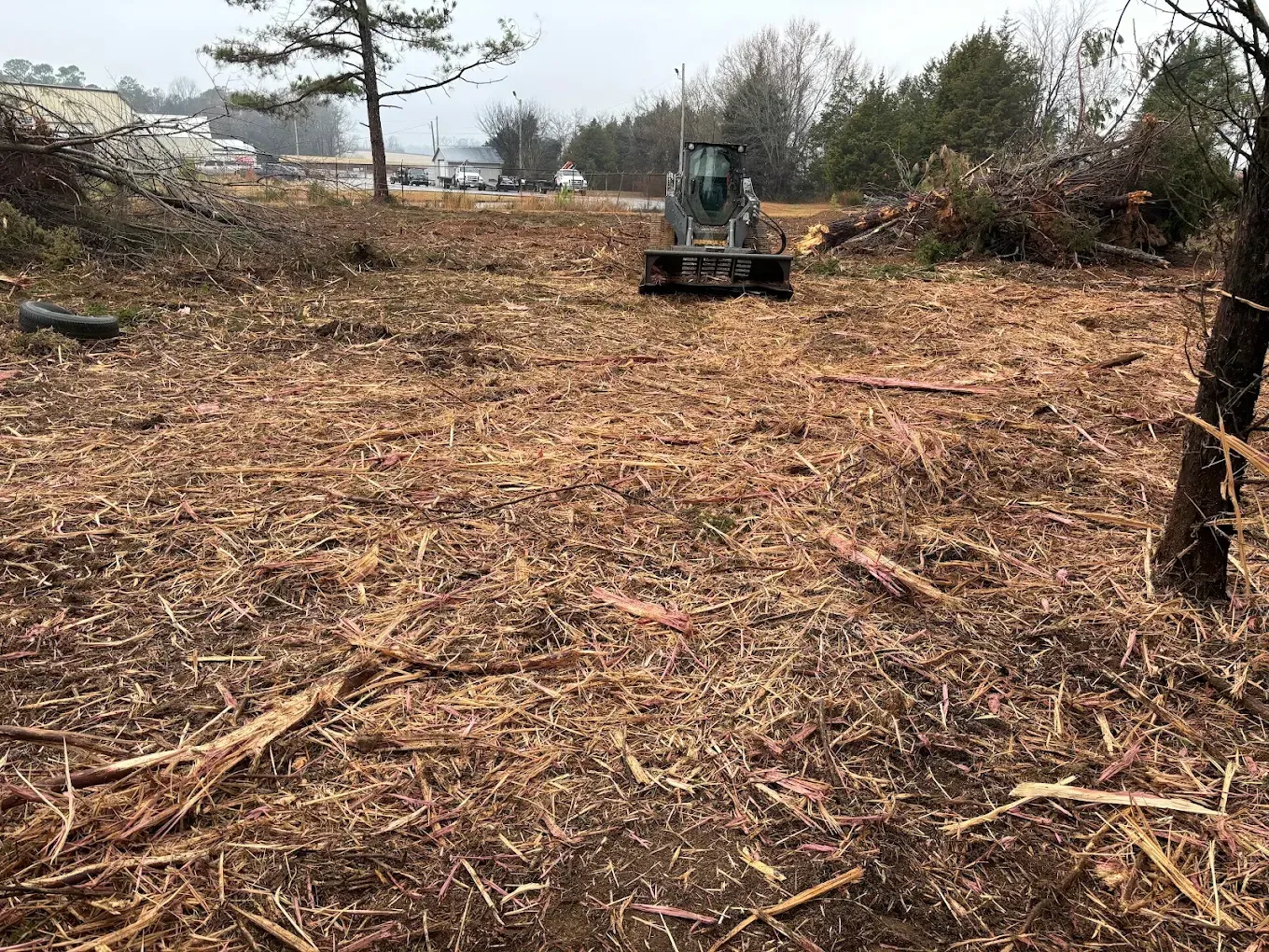 Cleared wooded lot with a small excavator amid fallen branches and tree stumps.