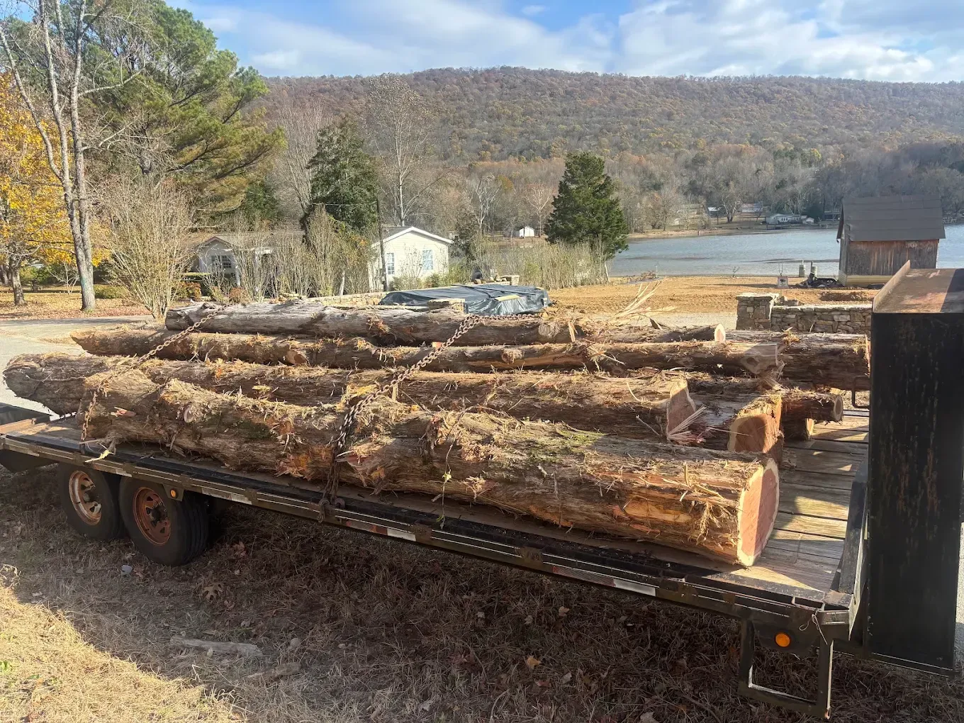 Truck trailer loaded with cut logs in a rural lakeside yard