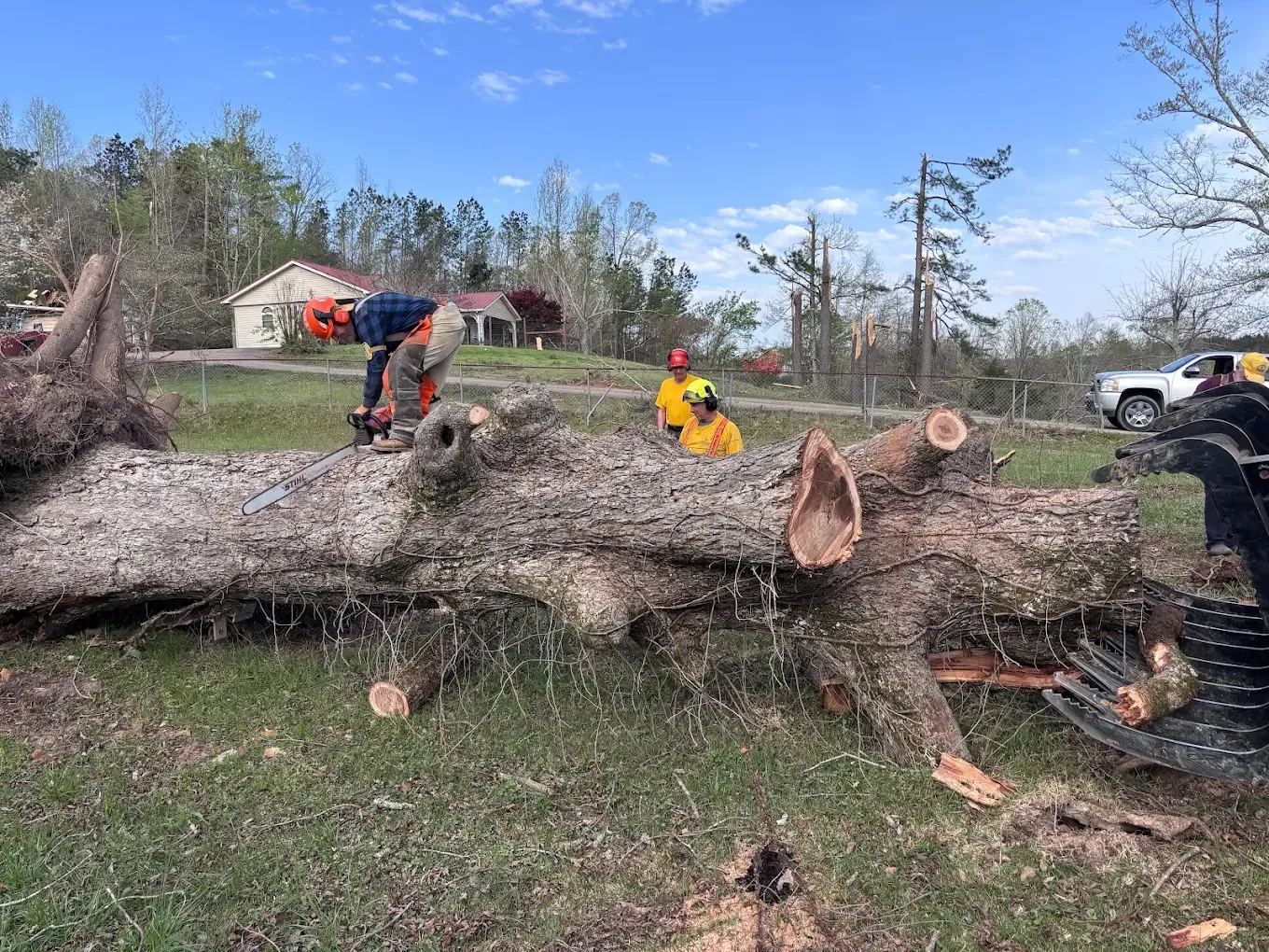 Workers clear a fallen tree trunk in a grassy yard with debris and a truck nearby