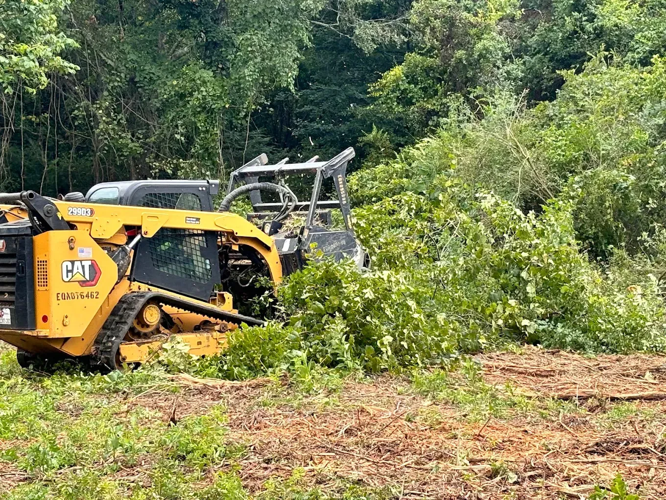 Yellow skid steer clears brush in a wooded area.