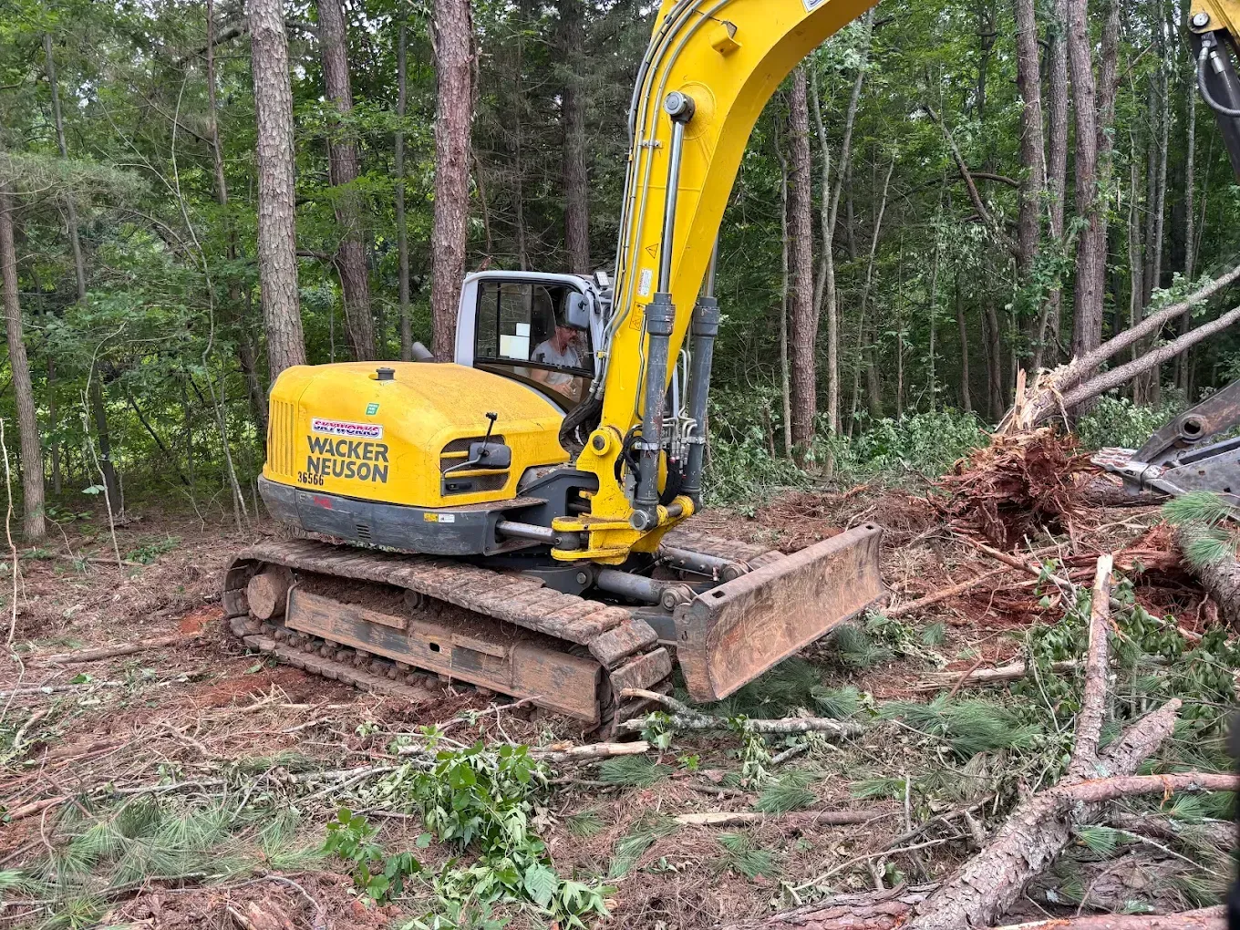 Yellow excavator clearing logs in a wooded forest area