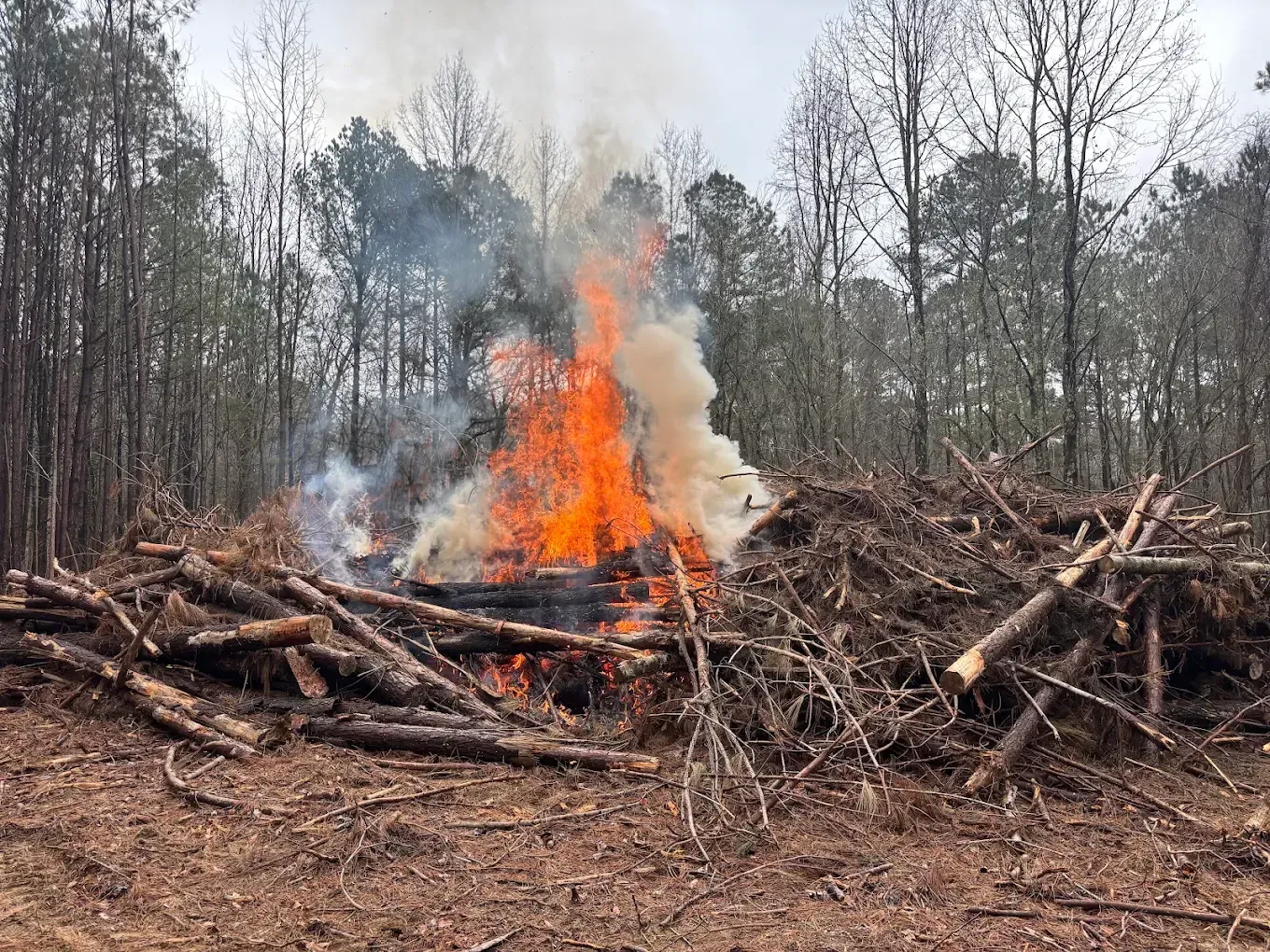 Controlled burn in a wooded clearing, with orange flames and smoke rising from a pile of branches.