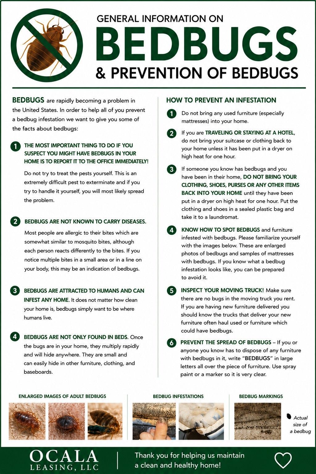Bed bugs prevention infographic with green and tan layout and multiple tips for identifying and avoiding infestations