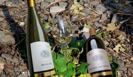 Zwei Weinflaschen und ein Glas auf belaubtem Boden im Freien