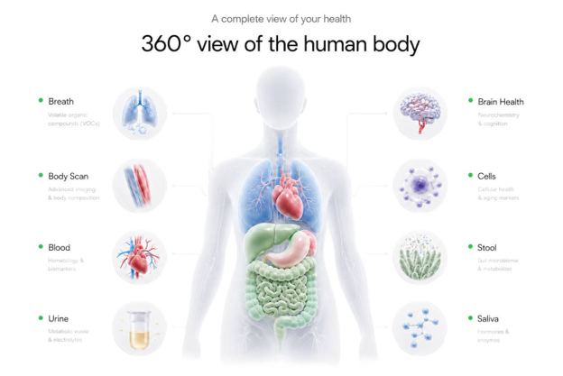 360 degree view of the human body