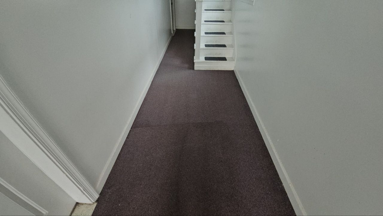 Carpet Cleaning in Woodbridge VA Neighborhood Carpet Cleaners