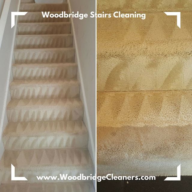 Carpet Cleaning in Woodbridge VA Neighborhood Carpet Cleaners