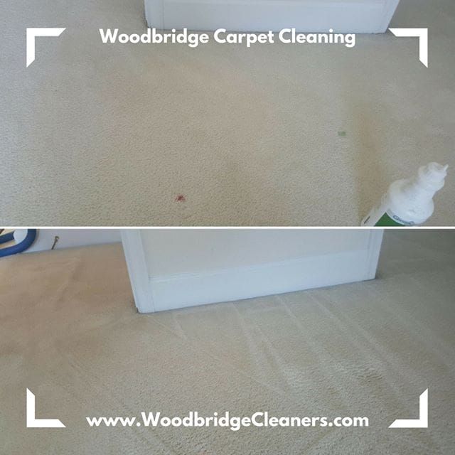 Carpet Cleaning in Woodbridge VA Neighborhood Carpet Cleaners