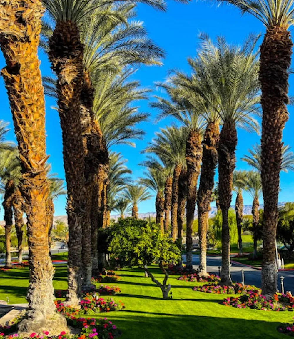 Sunlit palm-lined garden with green lawns, colorful flowers, and a bright blue sky