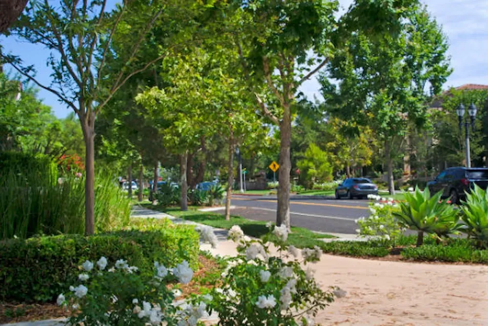Shrub Pruning, Plant Care & Landscape Bed Maintenance