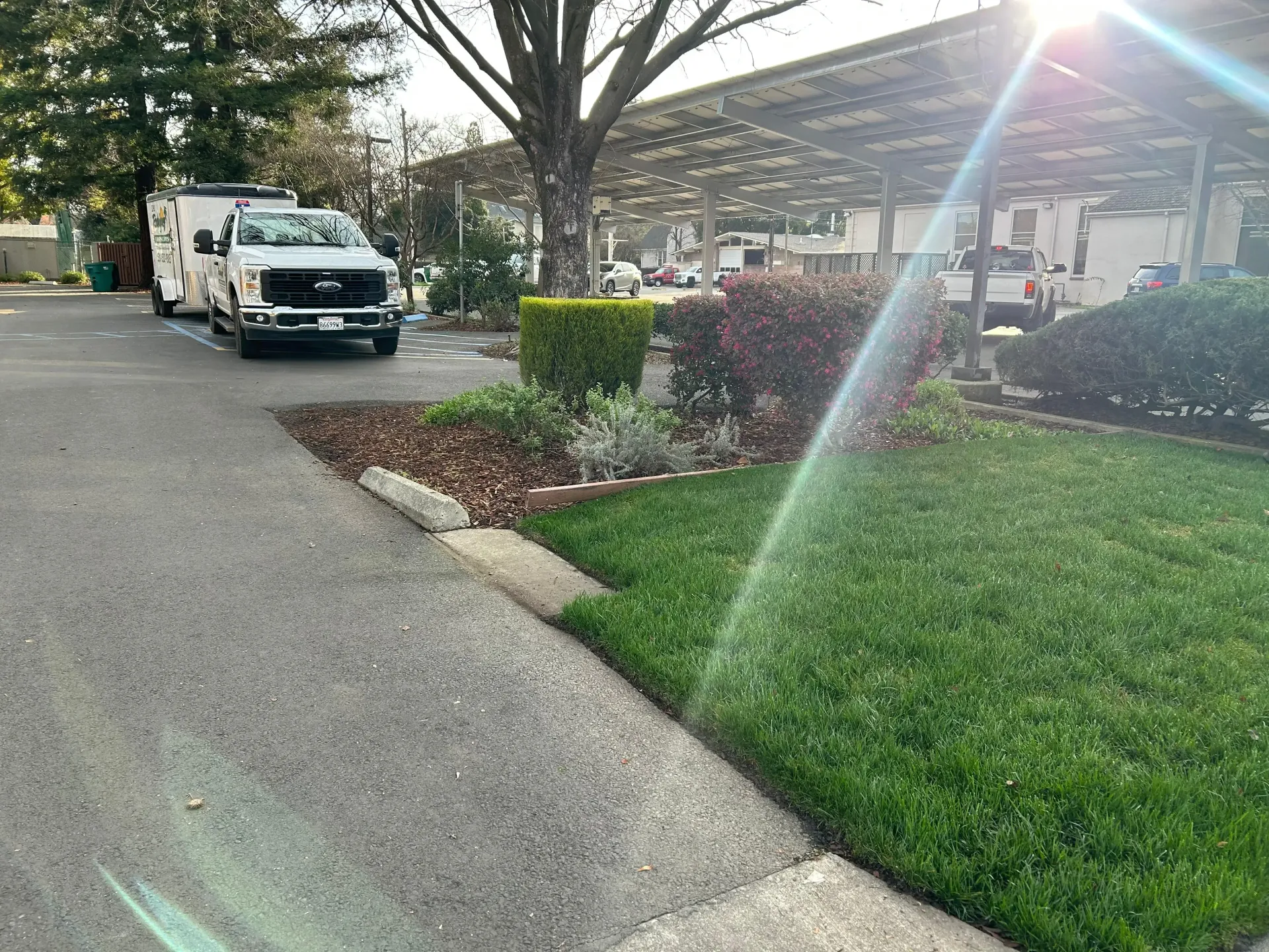 White van parked beside a sidewalk and grassy median in a sunny parking lot under trees