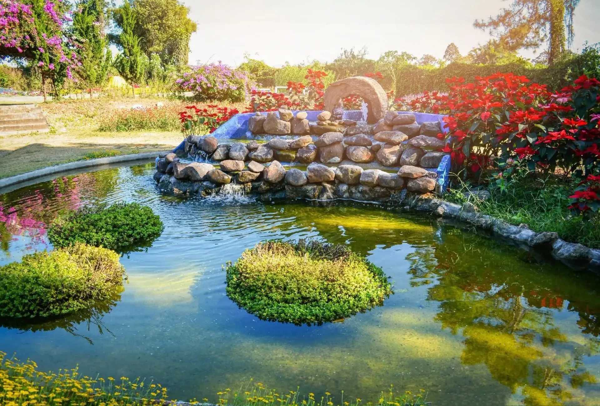 Sunlit garden pond with lily pads, stone fountain, and red flowers along the shore