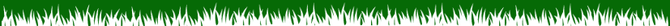 Thin horizontal strip of green grass on white background with a purple line near the bottom