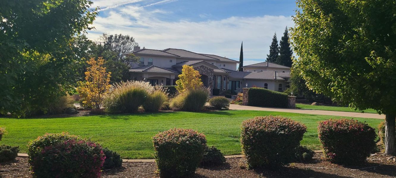 Large house with manicured gardens and a curved driveway under a clear blue sky