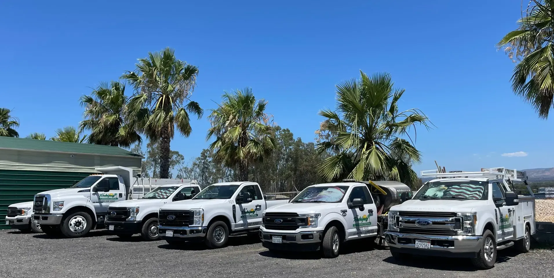 Row of white utility trucks parked outdoors under a clear blue sky with palm trees behind them