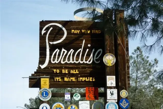 Wooden sign reading “Paradise” beside palm trees and various stickers under a blue sky