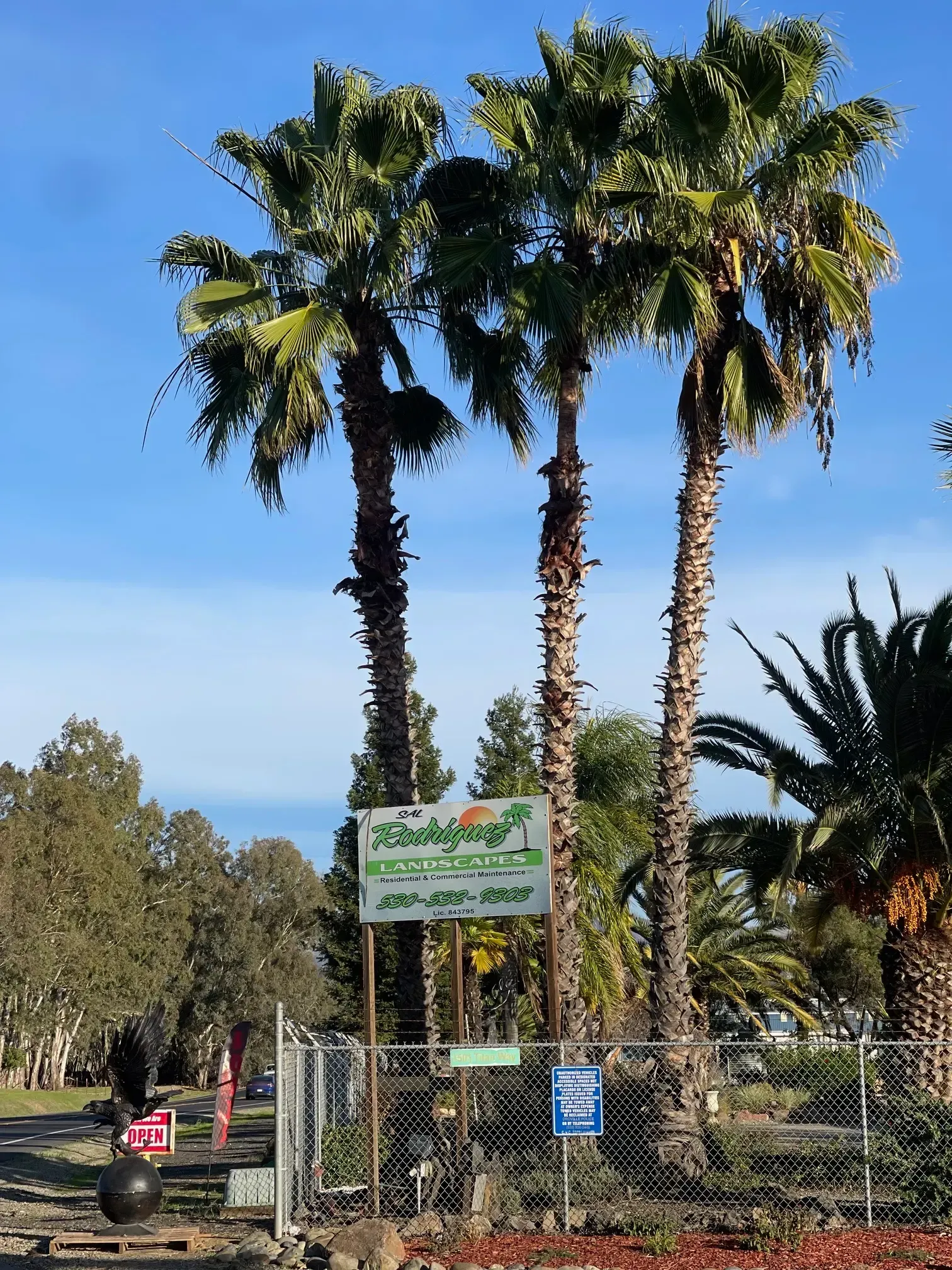 Outdoor garden entrance sign with trees, flowers, and an “OPEN” sign on the left.