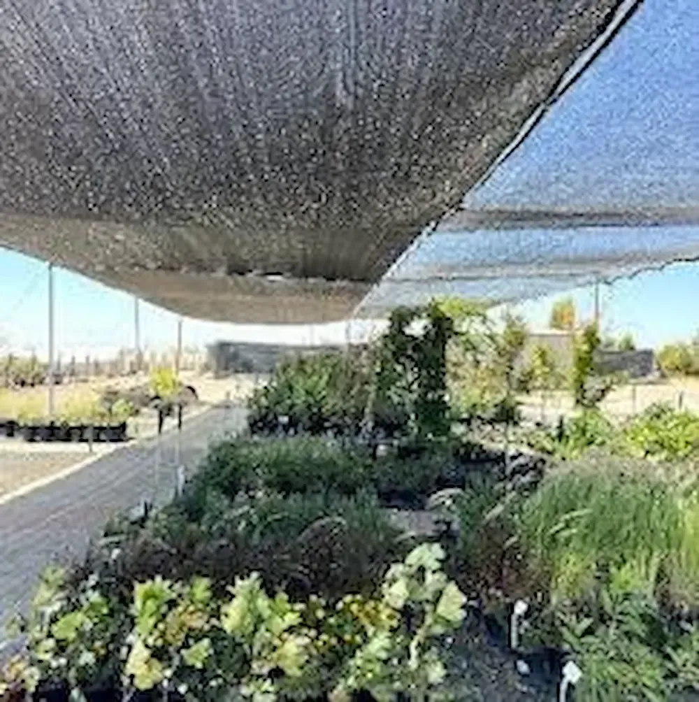 Shaded nursery with rows of potted plants and shrubs under black mesh canopy