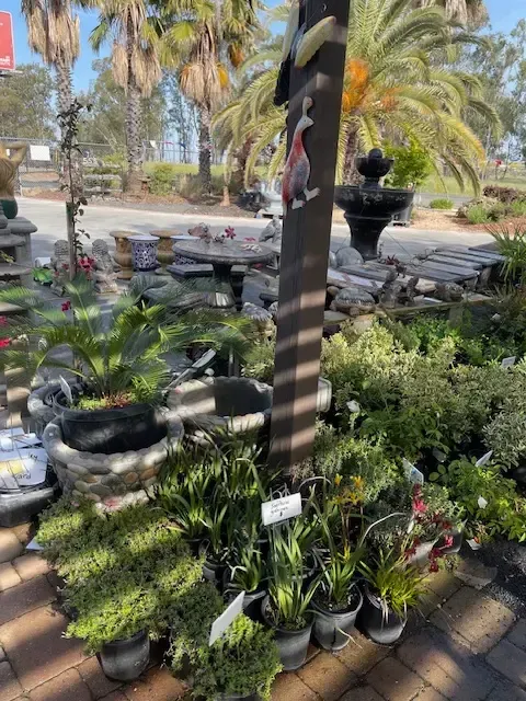 Potted plants and flowers displayed outdoors under a palm tree on a sunny patio