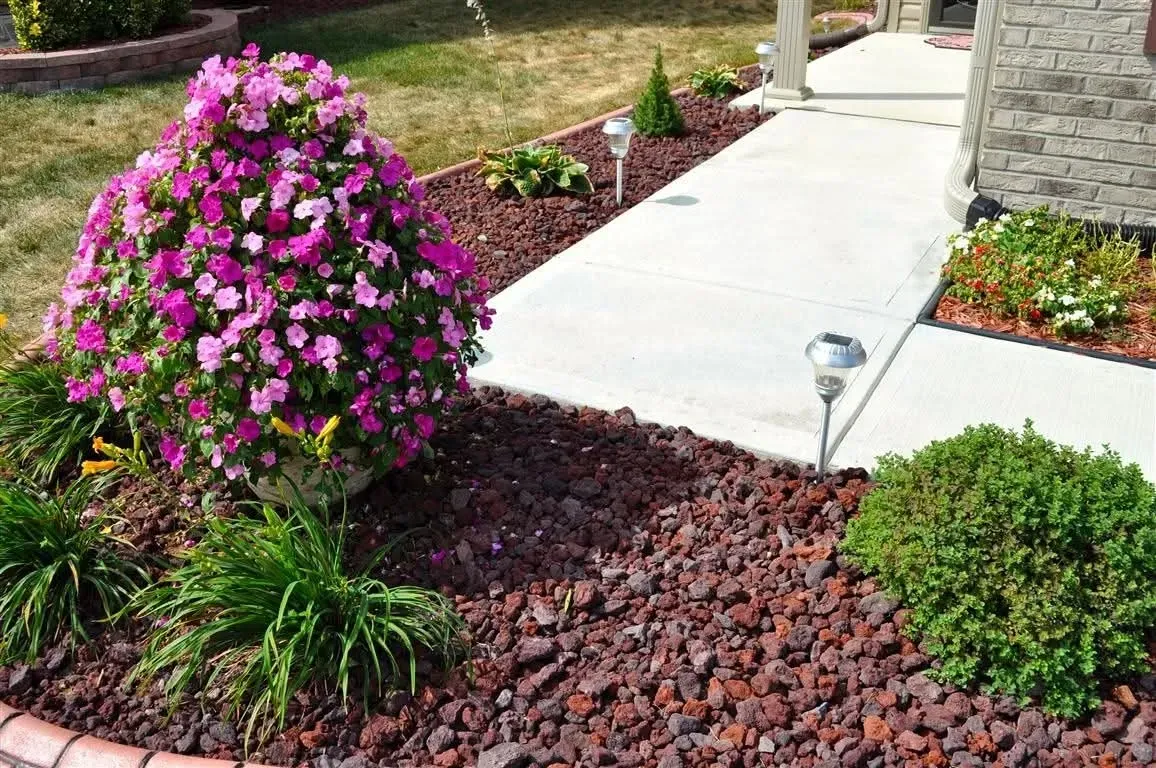 Plants, Trees & Shrubs for Chico Landscapes