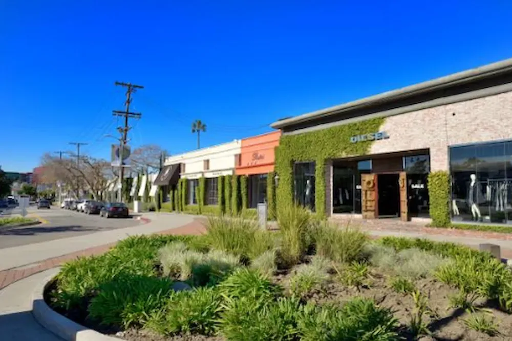 Sunny shopping center with storefronts, green landscaping, and a sidewalk along the street